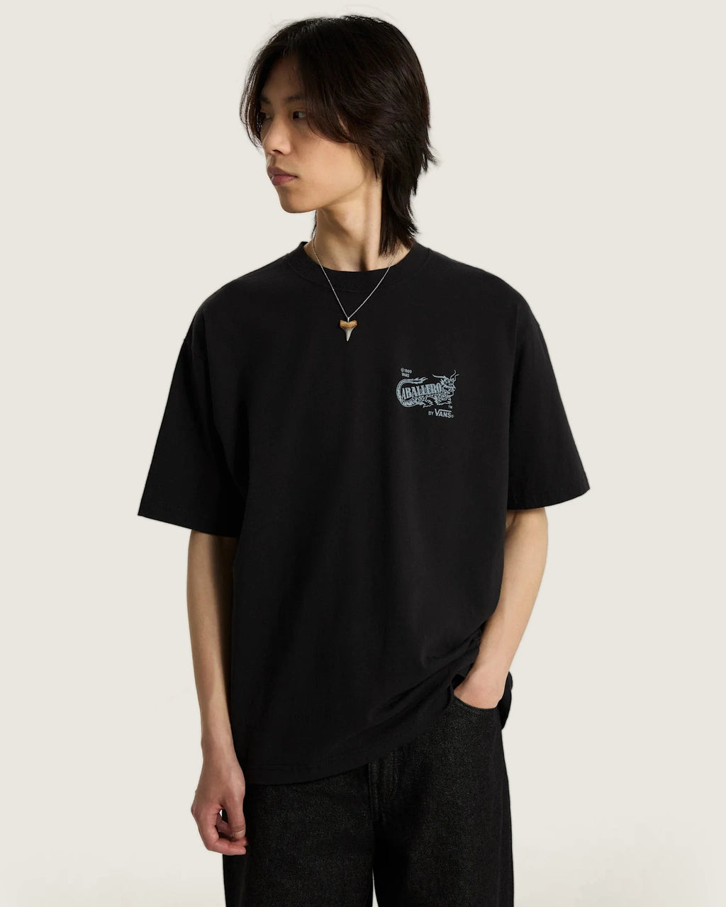 Vans Caballero SS Tee Black Textil VN000XHBBLK1 - 3