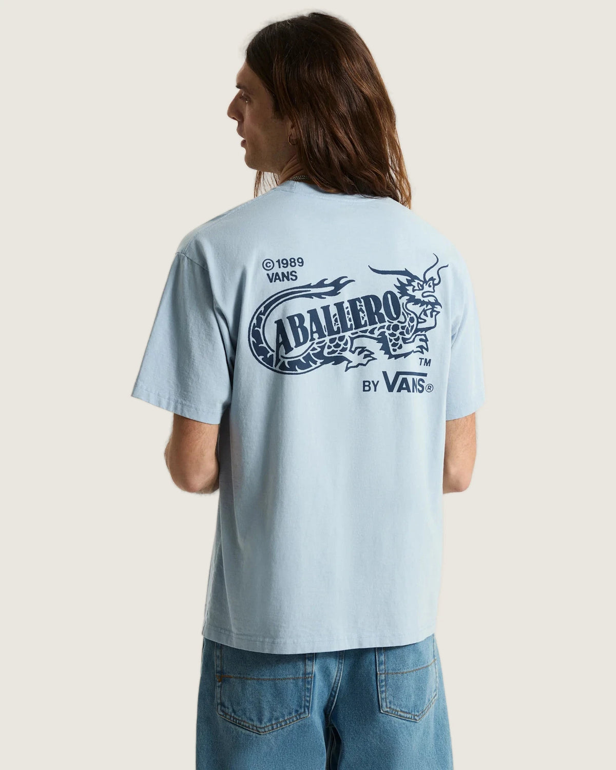 Vans Caballero SS Tee Soft Slate Textil VN000XHBH901 - 4